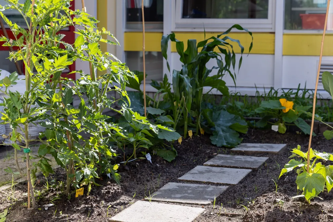 moestuin naast de Zonnewijzer